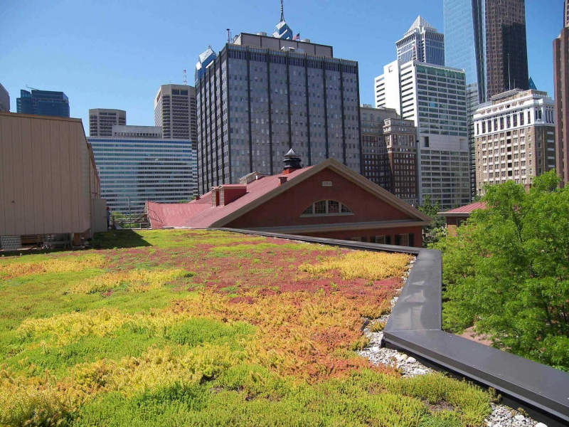 paysagiste-VILLENEUVE D ENTRAUNES-min_green-roof-portfolio-4